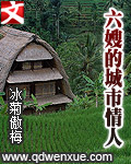 六嫂的城市情人