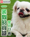抢婚总裁独宠旧爱